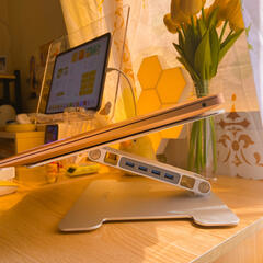 Orico Adjustable Laptop Stand